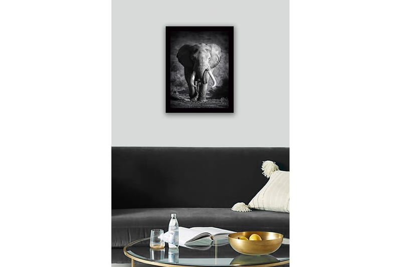 Innrammet lerret i tre - 41x56 cm - Storslått elefant i majestetisk positur - Svart / Grå - Interiør - Maleri & posters - Lerretsbilder
