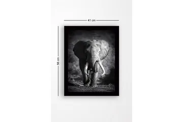 Innrammet lerret i tre - 41x56 cm - Storslått elefant i majestetisk positur - Svart / Grå - Interiør - Maleri & posters - Lerretsbilder