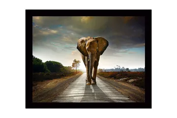 Innrammet lerret i tre - 41x56 cm - Storslått elefant som går langs en vei i et dramatisk landskap - Grå / Brun / Grønn - Interiør - Maleri & posters - Lerretsbilder