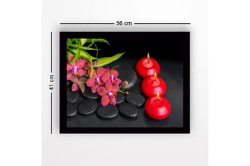 Innrammet lerret i tre - 41x56 cm - Vakker samling av orkideer og lys på svarte steiner - Rød / Svart / Grønn - Interiør - Maleri & posters - Lerretsbilder