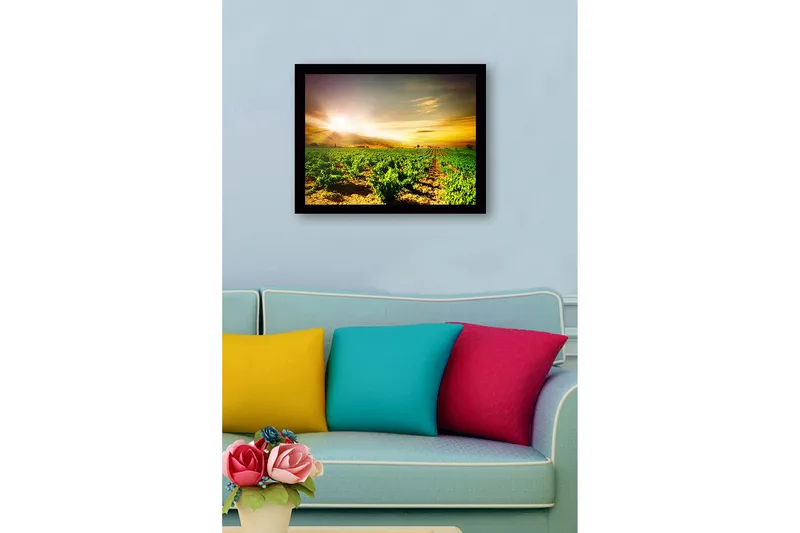 Innrammet lerret i tre - 41x56 cm - Vakker vingård under soloppgang - Grønn / Gul / Oransje - Interiør - Maleri & posters - Lerretsbilder