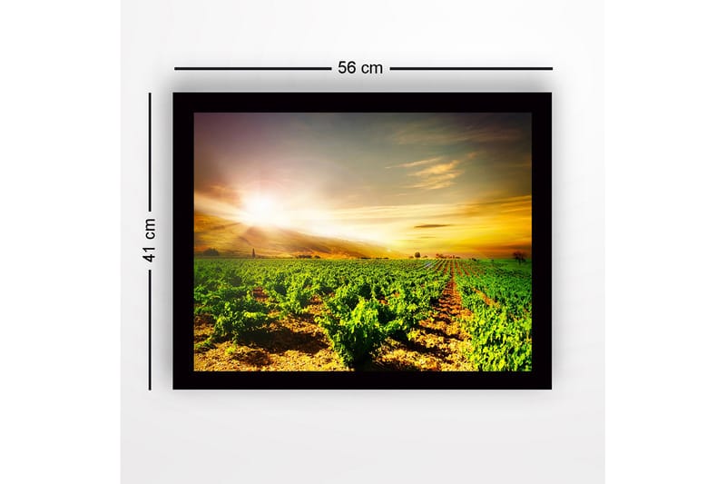 Innrammet lerret i tre - 41x56 cm - Vakker vingård under soloppgang - Grønn / Gul / Oransje - Interiør - Maleri & posters - Lerretsbilder