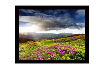 Innrammet lerret i tre - 41x56 cm - Vakkert fjellandskap med blomstrende enger - Grønn / Rosa / Blå - Interiør - Maleri & posters - Lerretsbilder