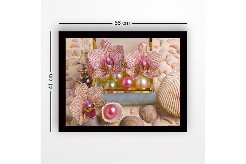Innrammet lerret i tre - 41x56 cm - Vakre orkideer omgitt av perler og skjell - Lys rosa / Grønn / Perlehvit - Interiør - Maleri & posters - Lerretsbilder