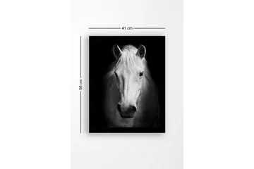 Innrammet lerret i tre - 41x56 cm - Portrett av en hvit hest med sterke kontraster - Hvit / Svart - Interiør - Maleri & posters - Lerretsbilder