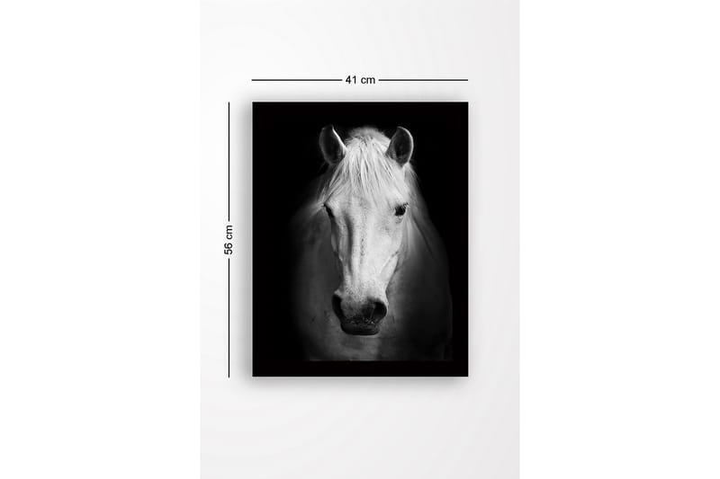 Innrammet lerret i tre - 41x56 cm - Portrett av en hvit hest med sterke kontraster - Hvit / Svart - Interiør - Maleri & posters - Lerretsbilder