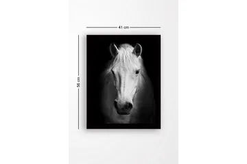 Innrammet lerret i tre - 41x56 cm - Portrett av en hvit hest med sterke kontraster - Hvit / Svart - Interiør - Maleri & posters - Lerretsbilder