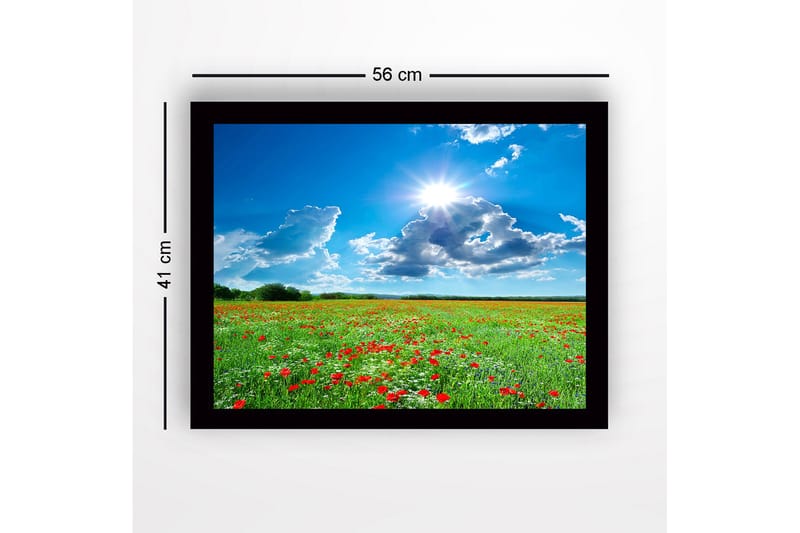 Innrammet lerretsbilde i tre - 41x56 cm - Blomstrende eng med røde valmuer og hvite blomster under en klar blå himmel - Grønn / Rød / Hvit - Interiør - Maleri & posters - Lerretsbilder