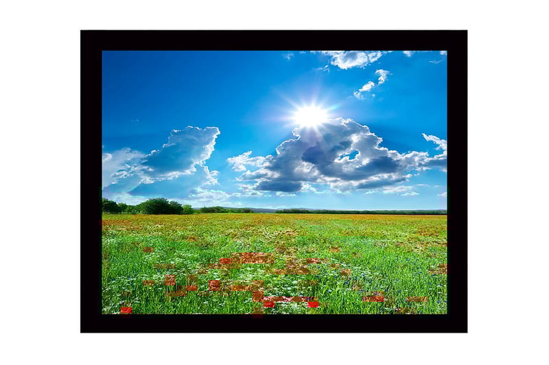 Innrammet lerretsbilde i tre - 41x56 cm - Blomstrende eng med røde valmuer og hvite blomster under en klar blå himmel, Grønn / Rød / Hvit