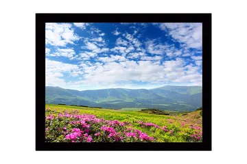 Innrammet lerretsbilde i tre - 41x56 cm - Blomstrende eng med rosa blomster og fjerne fjell i bakgrunnen - Rosa / Grønn / Blå - Interiør - Maleri & posters - Lerretsbilder