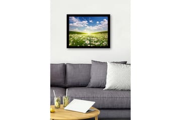 Innrammet lerretsbilde i tre - 41x56 cm - Blomstrende eng med tusenfryd under en klar himmel - Grønn / Hvit / Blå - Interiør - Maleri & posters - Lerretsbilder