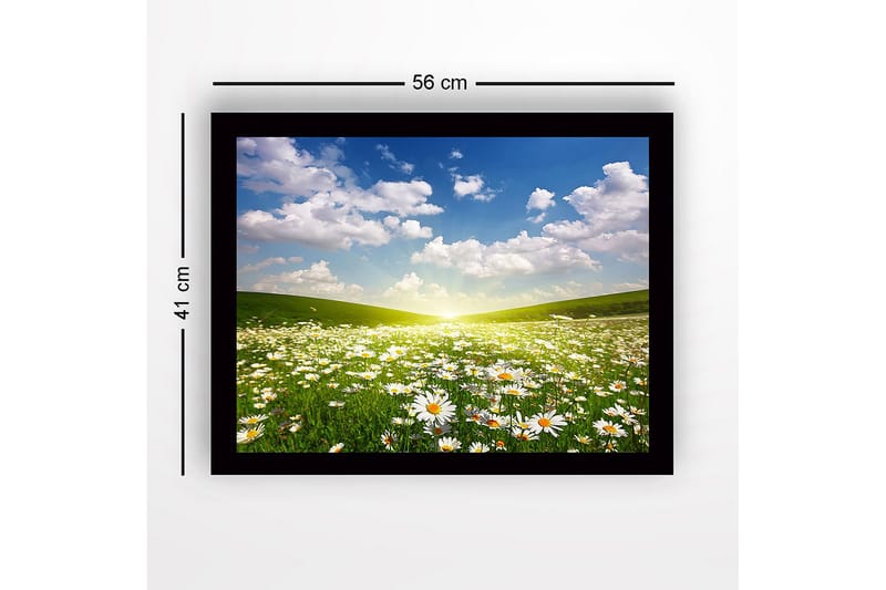 Innrammet lerretsbilde i tre - 41x56 cm - Blomstrende eng med tusenfryd under en klar himmel - Grønn / Hvit / Blå - Interiør - Maleri & posters - Lerretsbilder