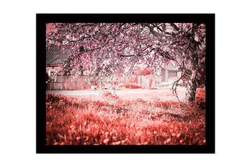 Innrammet lerretsbilde i tre - 41x56 cm - Blomstrende kirsebærtrær i et drømmeaktig landskap - Rosa / Grønn / Hvit - Interiør - Maleri & posters - Lerretsbilder