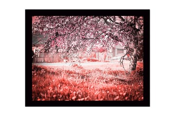 Innrammet lerretsbilde i tre - 41x56 cm - Blomstrende kirsebærtrær i et drømmeaktig landskap - Rosa / Grønn / Hvit - Interiør - Maleri & posters - Lerretsbilder