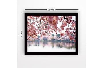 Innrammet lerretsbilde i tre - 41x56 cm - Blomstrende kirsebærtrær ved en speilblank innsjø - Rosa / Grønn / Blå - Interiør - Maleri & posters - Lerretsbilder