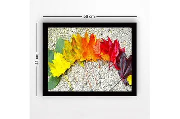 Innrammet lerretsbilde i tre - 41x56 cm - Fargefull rekke med høstblader i forskjellige nyanser - Gul / Oransje / Rød - Interiør - Maleri & posters - Lerretsbilder