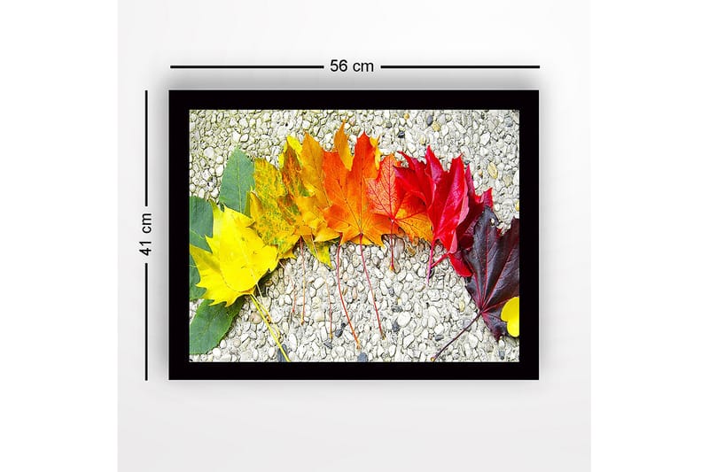 Innrammet lerretsbilde i tre - 41x56 cm - Fargefull rekke med høstblader i forskjellige nyanser - Gul / Oransje / Rød - Interiør - Maleri & posters - Lerretsbilder