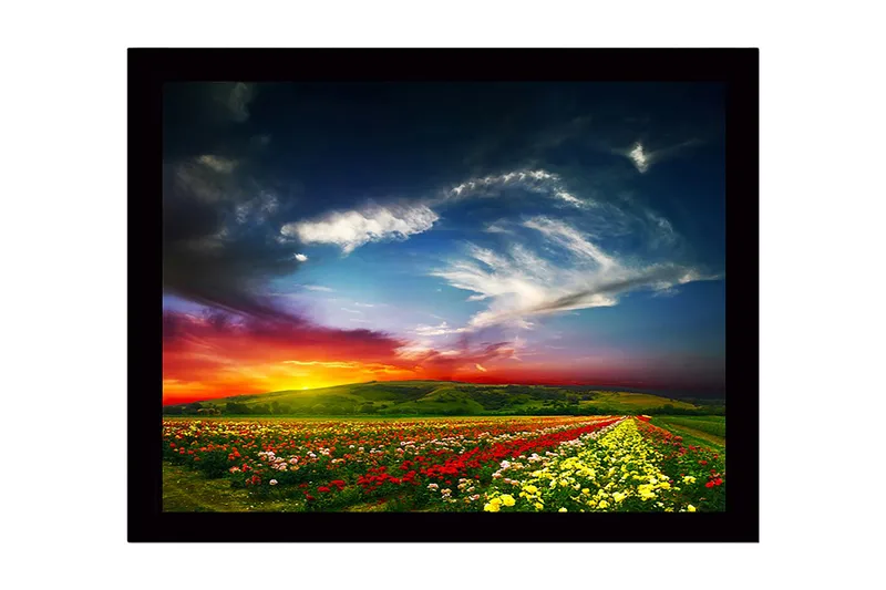 Innrammet lerretsbilde i tre - 41x56 cm - Fargerik blomstereng under en dramatisk solnedgang, Rød / Gul / Grønn