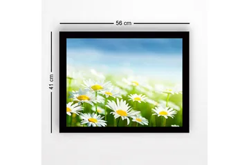 Innrammet lerretsbilde i tre - 41x56 cm - Fargerik eng med tusenfryd i blomst - Hvit / Gul / Grønn - Interiør - Maleri & posters - Lerretsbilder