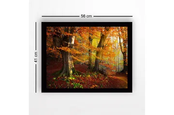 Innrammet lerretsbilde i tre - 41x56 cm - Fargerik høstskog med gyllent og oransje løvverk - Oransje / Gul / Grønn - Interiør - Maleri & posters - Lerretsbilder