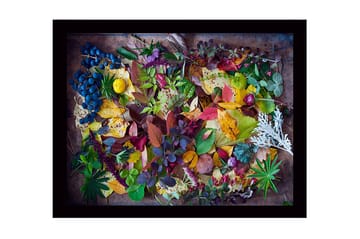 Innrammet lerretsbilde i tre - 41x56 cm - Fargerik samling av høstblader og bær - Grønn / Rød / Gul - Interiør - Maleri & posters - Lerretsbilder