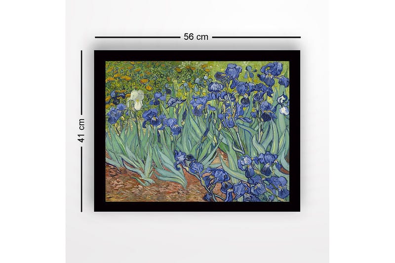 Innrammet lerretsbilde i tre - 41x56 cm - Fargerik samling av irisblomster - Blå / Grønn / Brun - Interiør - Maleri & posters - Lerretsbilder