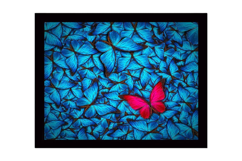 Innrammet lerretsbilde i tre - 41x56 cm - Fargerik samling av sommerfugler med en fremtredende rosa sommerfugl, Blå / Rosa