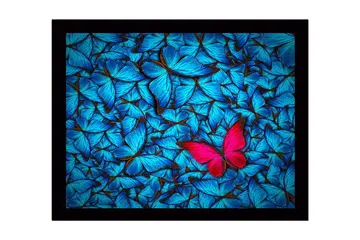 Innrammet lerretsbilde i tre - 41x56 cm - Fargerik samling av sommerfugler med en fremtredende rosa sommerfugl - Blå / Rosa - Interiør - Maleri & posters - Lerretsbilder