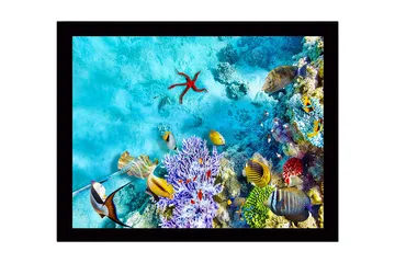 Innrammet lerretsbilde i tre - 41x56 cm - Fargerik undervannsscene med korallrev og fisk - Turkis / Lilla / Rød - Interiør - Maleri & posters - Lerretsbilder