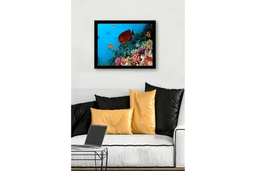 Innrammet lerretsbilde i tre - 41x56 cm - Fargerik undervannsscene med korallrev og tropiske fisker - Blå / Oransje / Rosa - Interiør - Maleri & posters - Lerretsbilder