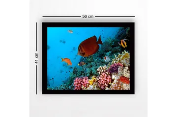 Innrammet lerretsbilde i tre - 41x56 cm - Fargerik undervannsscene med korallrev og tropiske fisker - Blå / Oransje / Rosa - Interiør - Maleri & posters - Lerretsbilder