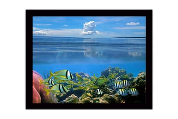 Innrammet lerretsbilde i tre - 41x56 cm - Fargerik undervannsscene med svømmende fisk og korallrev - Blå / Grønn / Gul - Interiør - Maleri & posters - Lerretsbilder