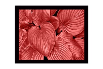 Innrammet lerretsbilde i tre - 41x56 cm - Fargerike blader i forskjellige røde nyanser - Rød / Svart - Interiør - Maleri & posters - Lerretsbilder