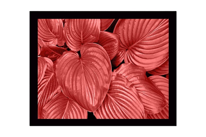 Innrammet lerretsbilde i tre - 41x56 cm - Fargerike blader i forskjellige røde nyanser, Rød / Svart