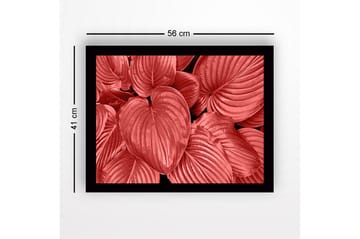Innrammet lerretsbilde i tre - 41x56 cm - Fargerike blader i forskjellige røde nyanser - Rød / Svart - Interiør - Maleri & posters - Lerretsbilder