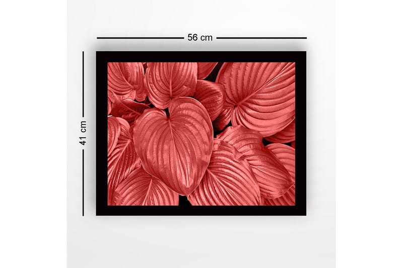 Innrammet lerretsbilde i tre - 41x56 cm - Fargerike blader i forskjellige røde nyanser - Rød / Svart - Interiør - Maleri & posters - Lerretsbilder