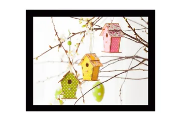 Innrammet lerretsbilde i tre - 41x56 cm - Fargerike fuglekasser hengende i blomstergrener - Grønn / Rosa / Gul - Interiør - Maleri & posters - Lerretsbilder