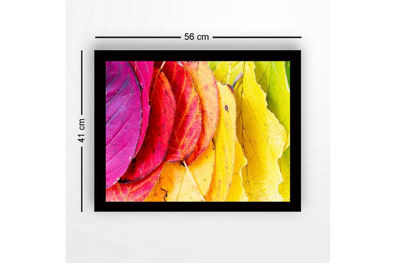 Innrammet lerretsbilde i tre - 41x56 cm - Fargerike høstblader i forskjellige nyanser - Rosa / Rød / Gul - Interiør - Maleri & posters - Lerretsbilder