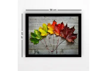 Innrammet lerretsbilde i tre - 41x56 cm - Fargerike høstblader på rad - Grønn / Gul / Rød - Interiør - Maleri & posters - Lerretsbilder