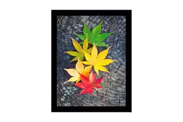 Innrammet lerretsbilde i tre - 41x56 cm - Fargerike høstblader på en treflate - Grønn / Gul / Rød - Interiør - Maleri & posters - Lerretsbilder