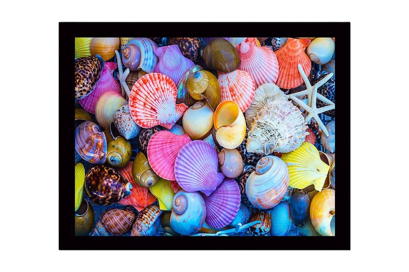 Innrammet lerretsbilde i tre - 41x56 cm - Fargerike skjell i forskjellige former og størrelser - Rosa / Gul / Lilla - Interiør - Maleri & posters - Lerretsbilder
