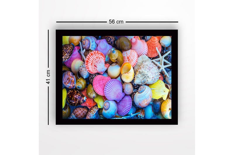Innrammet lerretsbilde i tre - 41x56 cm - Fargerike skjell i forskjellige former og størrelser - Rosa / Gul / Lilla - Interiør - Maleri & posters - Lerretsbilder