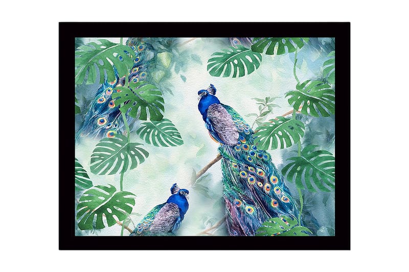 Innrammet lerretsbilde i tre - 41x56 cm - Fargerike påfugler omgitt av tropiske planter, Grønn / Blå / Turkis