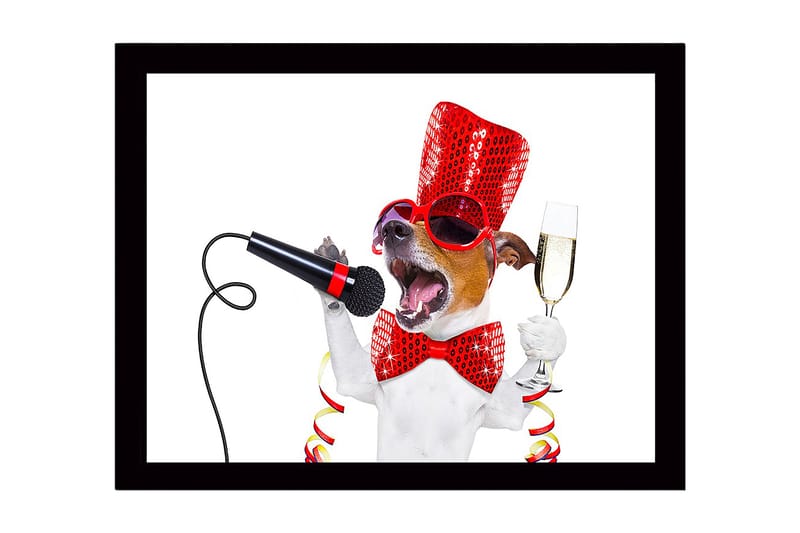 Innrammet lerretsbilde i tre - 41x56 cm - Festlig hund med mikrofon og champagneglass, Rød / Svart / Hvit
