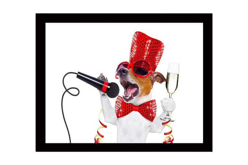 Innrammet lerretsbilde i tre - 41x56 cm - Festlig hund med mikrofon og champagneglass, Rød / Svart / Hvit