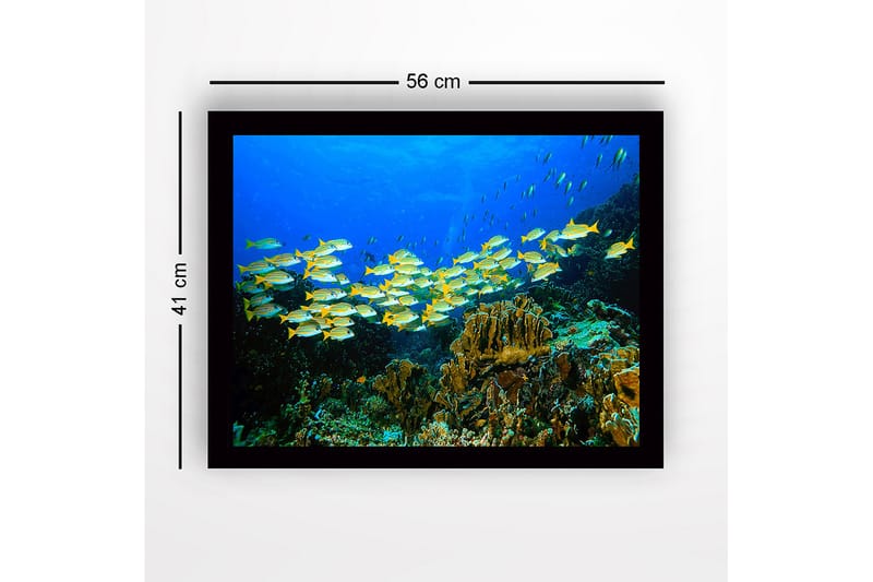 Innrammet lerretsbilde i tre - 41x56 cm - Flok med fargerike fisker som svømmer i et korallrev - Blå / Gul / Grønn - Interiør - Maleri & posters - Lerretsbilder