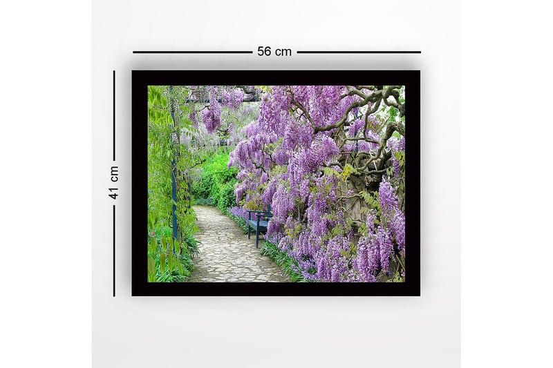 Innrammet lerretsbilde i tre - 41x56 cm - Frodig gangvei med blomstrende blåregn i lilla nyanser - Lilla / Grønn - Interiør - Maleri & posters - Lerretsbilder