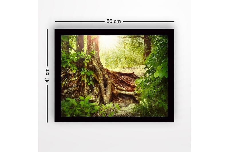 Innrammet lerretsbilde i tre - 41x56 cm - Frodig skog med en stor trerot og solstråler som siver gjennom løvverket - Grønn / Brun / Gul - Interiør - Maleri & posters - Lerretsbilder