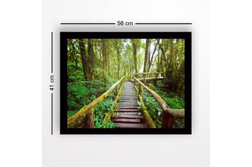 Innrammet lerretsbilde i tre - 41x56 cm - Frodig skogssti med trebroer - Grønn / Brun / Gulgrønn - Interiør - Maleri & posters - Lerretsbilder