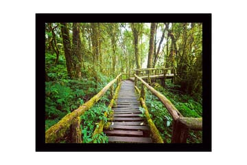 Innrammet lerretsbilde i tre - 41x56 cm - Frodig skogssti med trebroer - Grønn / Brun / Gulgrønn - Interiør - Maleri & posters - Lerretsbilder
